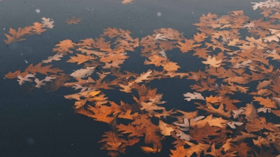 Banjir Bandang Terparah di Mamuju, Puluhan Rumah Hanyut