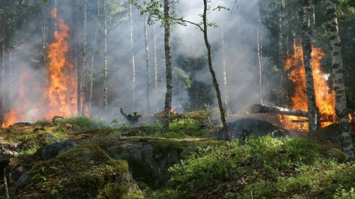 Kabakaran di Gunung Lawu, Akses Pendakian Ditutup