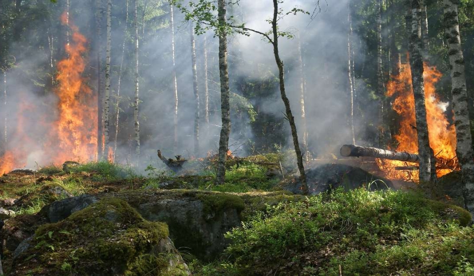 Kabakaran di Gunung Lawu, Akses Pendakian Ditutup