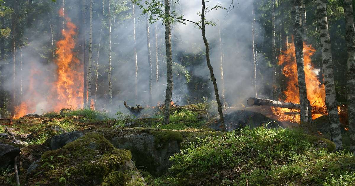 Kabakaran di Gunung Lawu, Akses Pendakian Ditutup