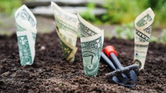 5 Investasi yang Cocok untuk Karyawan dengan Modal Minim