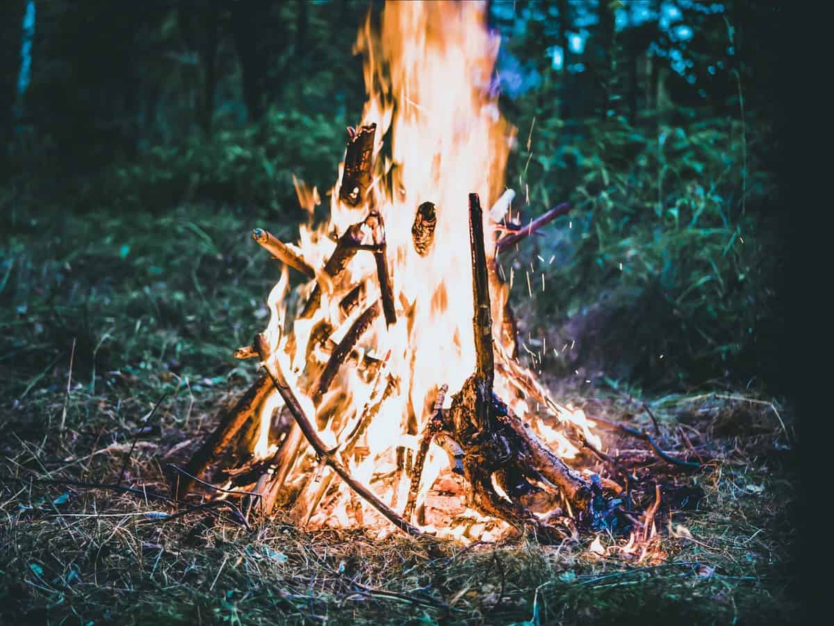 Gunung Bohong Terbakar, Api Nyaris Merembet ke Pemukiman Warga