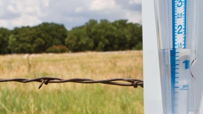 Asuransi Pertanian dengan Indeks Curah Hujan, Memang Bisa 1