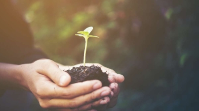 Wakaf via asuransi, bisa